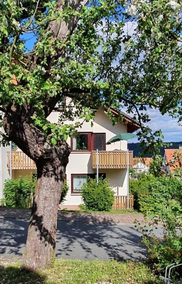 Kleinod Am Kurpark Daire Bad Zwesten Dış mekan fotoğraf
