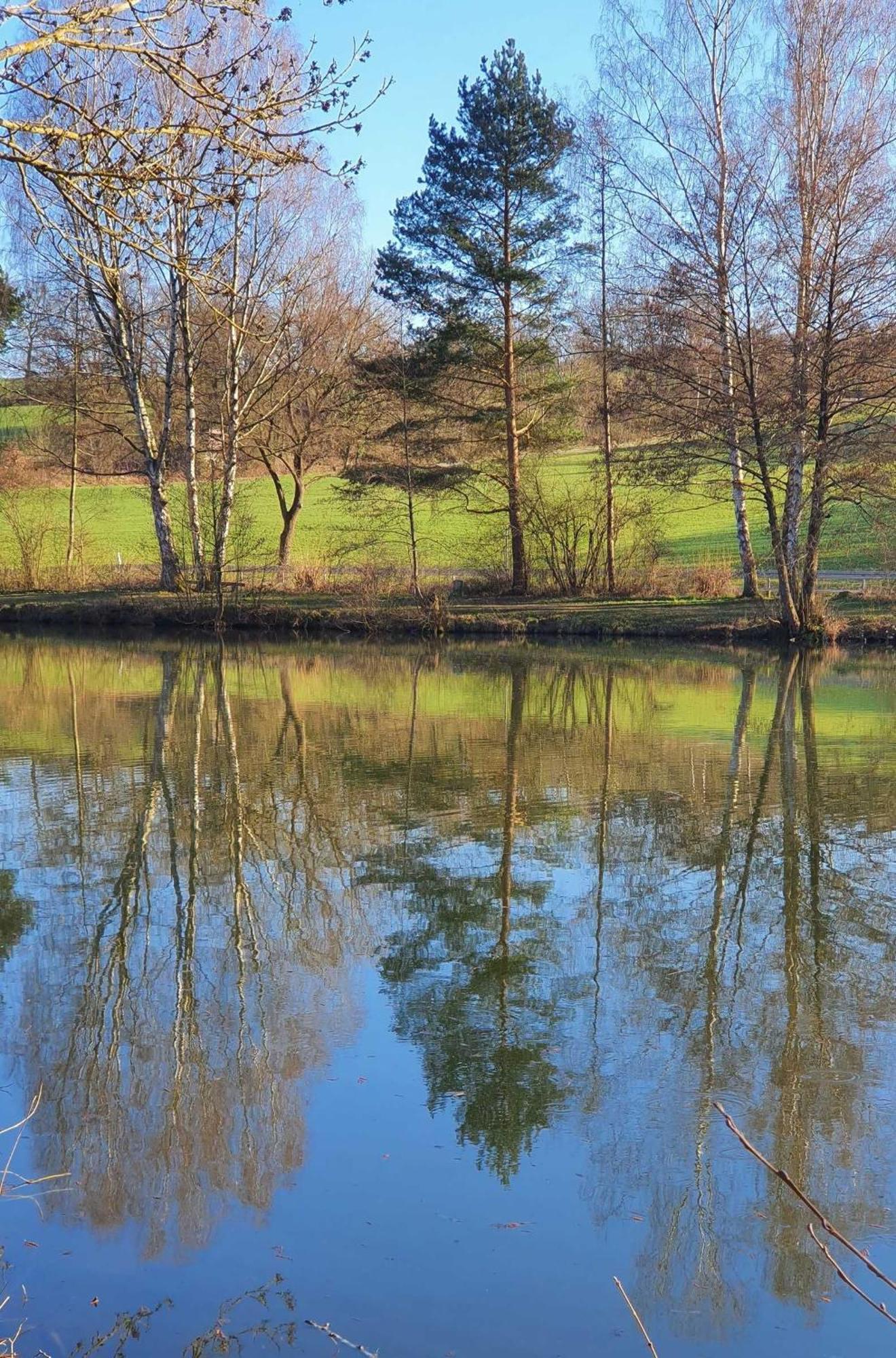 Kleinod Am Kurpark Daire Bad Zwesten Dış mekan fotoğraf